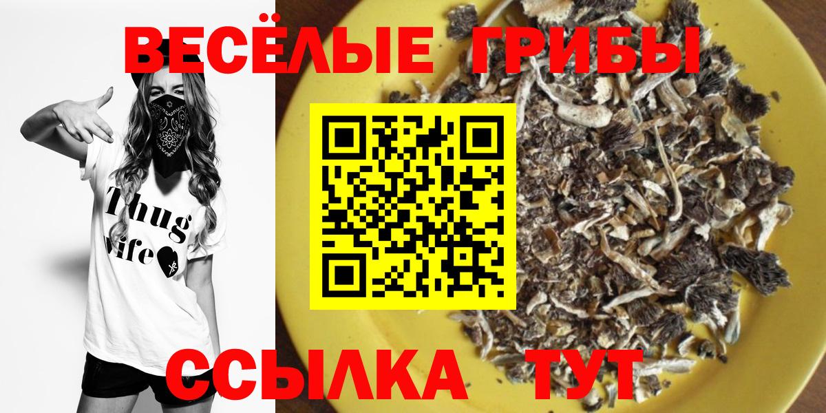 Галлюциногенные грибы Psilocybe Казань