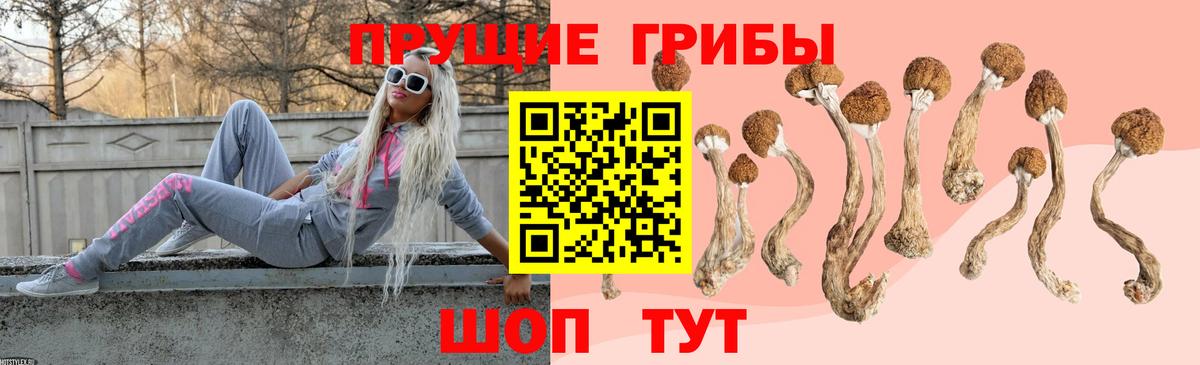 Галлюциногенные грибы Psilocybine cubensis  Вход с VPN  Казань 